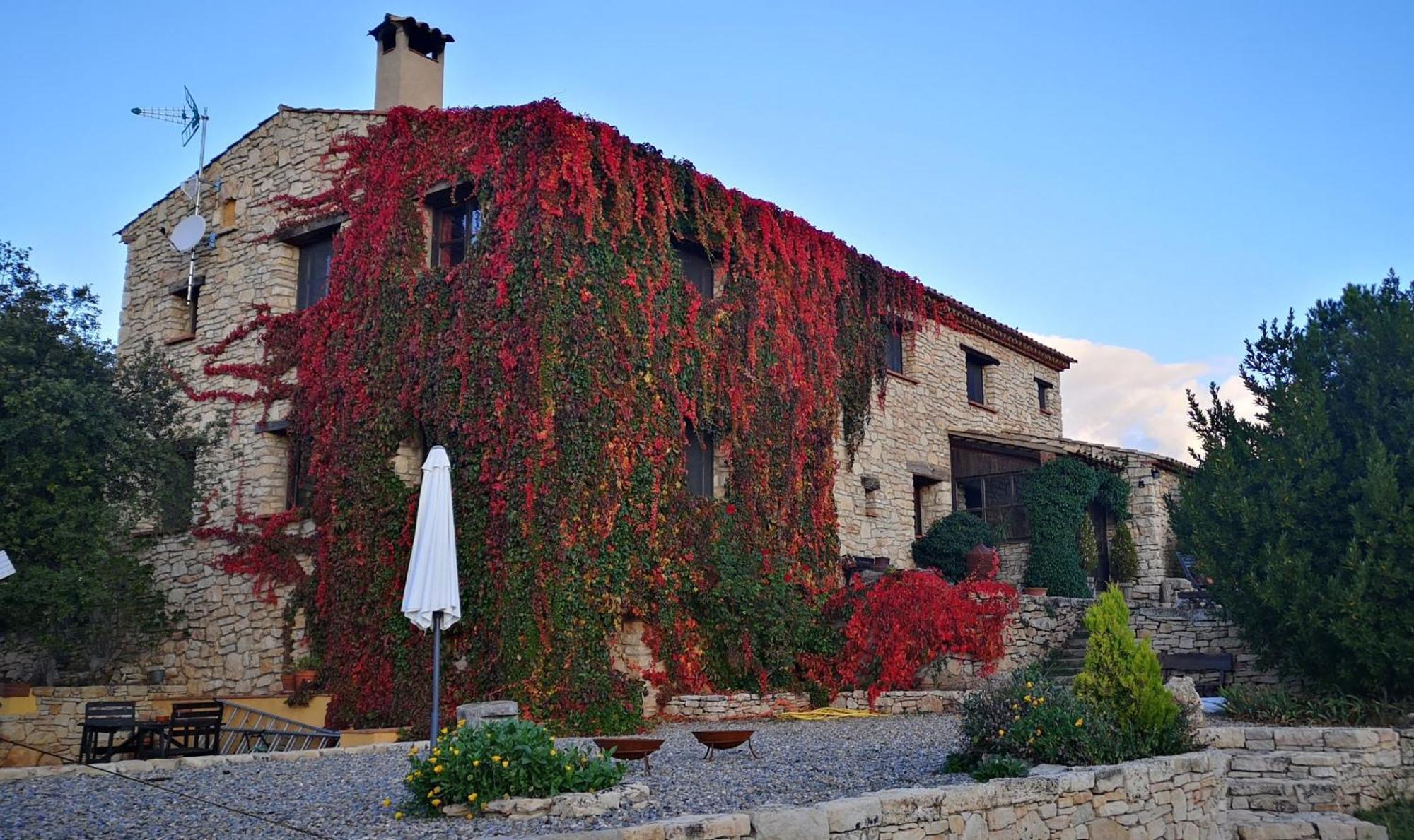 Mas De L'Arlequi Guest House Rojals Екстериор снимка