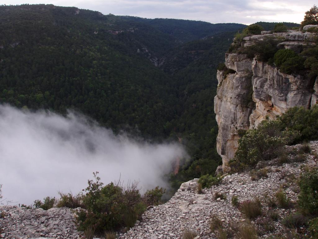 Mas De L'Arlequi Guest House Rojals Екстериор снимка