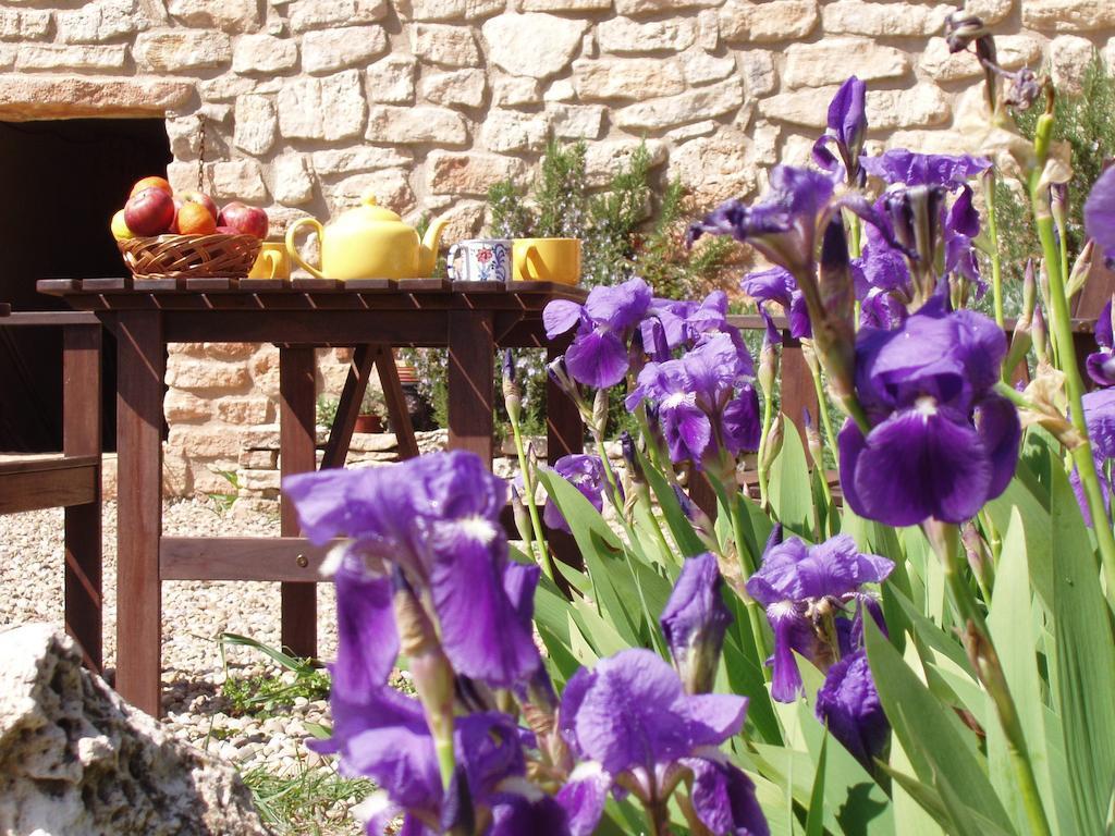 Mas De L'Arlequi Guest House Rojals Екстериор снимка